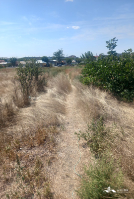 Teren intavilan Buzau