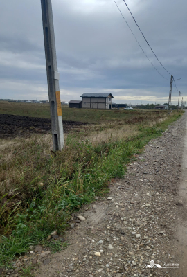 Teren intavilan Maracineni-Buzau