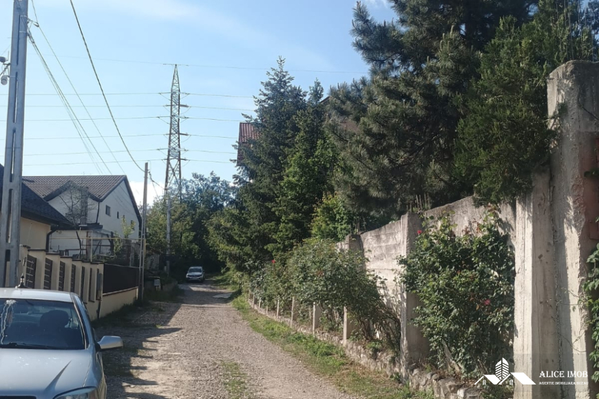 Imagine WhatsApp 2025-05-15 la 19.47.33_01b9ba5b