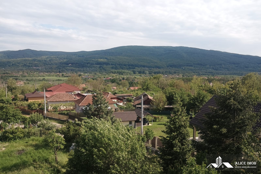 Imagine WhatsApp 2025-05-15 la 19.47.38_0ce69075