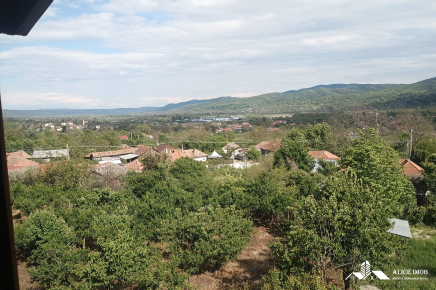 Imagine WhatsApp 2025-05-15 la 19.47.38_9a8a84ad