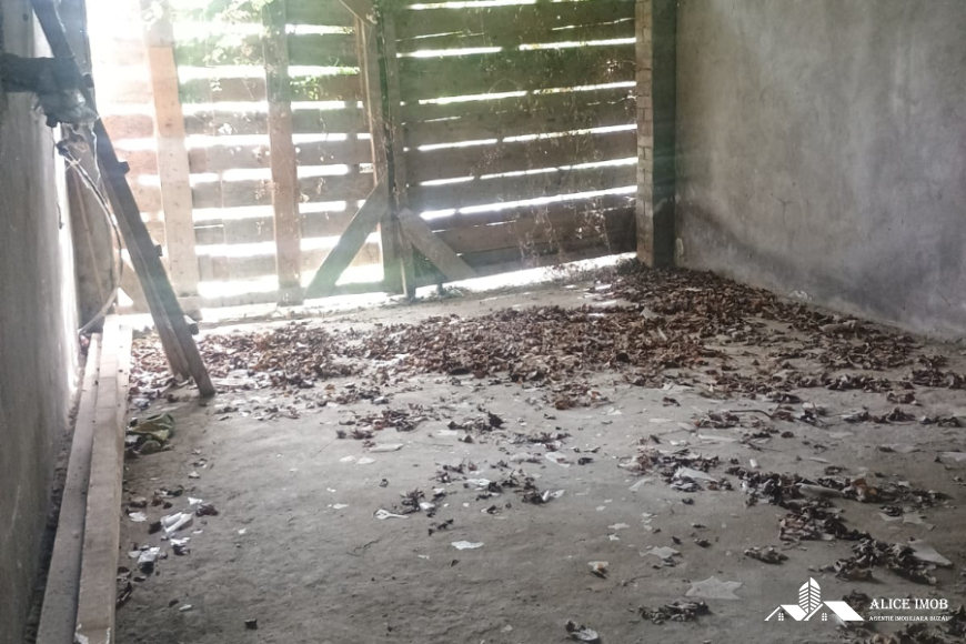 Imagine WhatsApp 2025-05-15 la 19.47.41_a6a4dac5