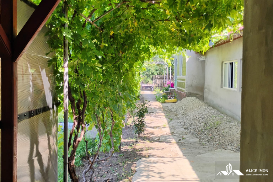 Imagine WhatsApp 2025-06-17 la 11.09.25_ec45ea05