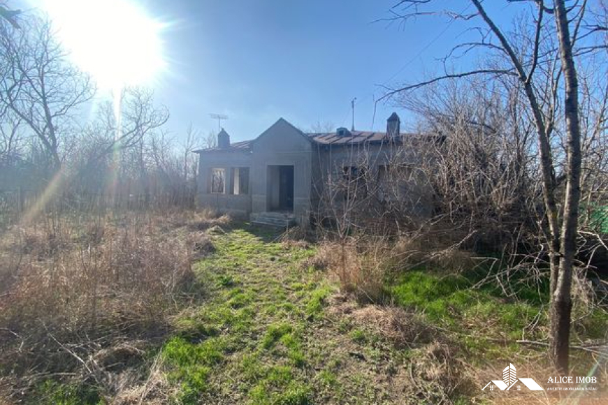 417556658_1106135383931472_6065337287899200071_n