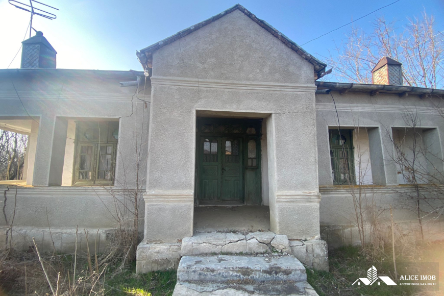 417557212_1106135377264806_7104645017447309197_n