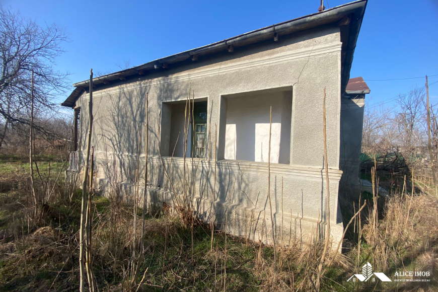 417591879_1106135487264795_8203855537119925208_n