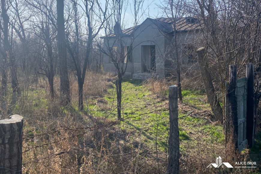 418864528_1106135483931462_70873330839402767_n