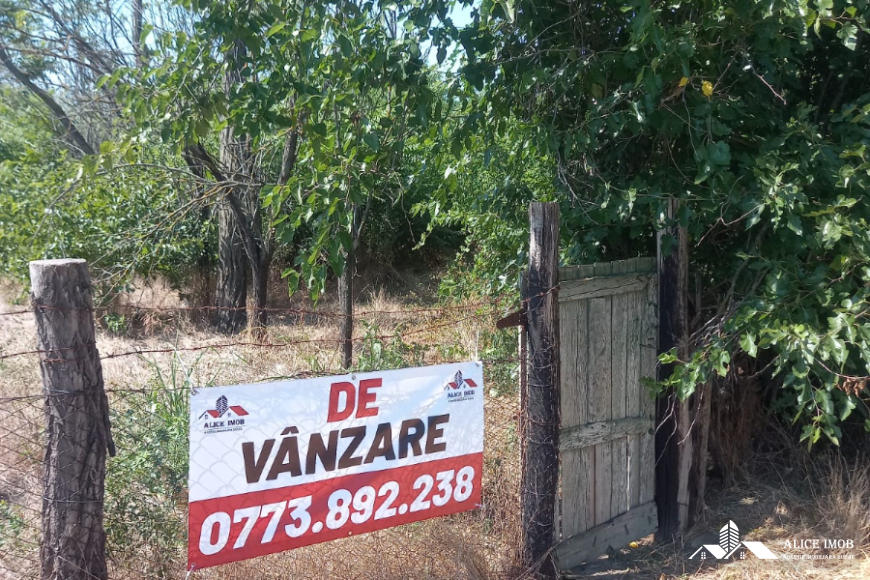 Imagine WhatsApp 2025-08-21 la 11.59.25_898d7379