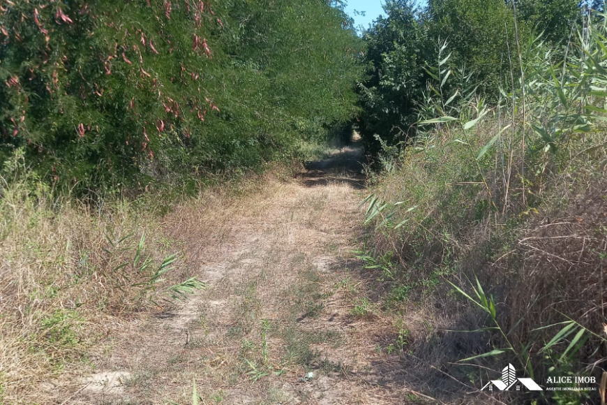 Imagine WhatsApp 2025-08-21 la 18.22.17_7610423a