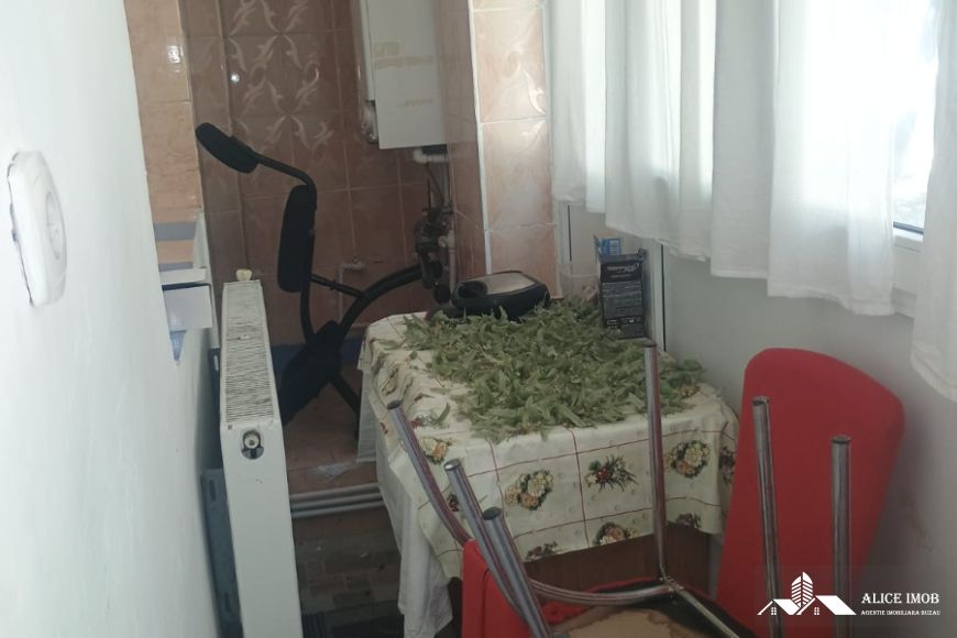 Imagine WhatsApp 2025-07-04 la 21.00.38_44463fc4