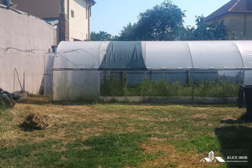 Imagine WhatsApp 2025-08-11 la 17.09.04_89ef2450