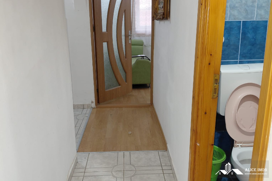 WhatsApp Image 2026-02-01 at 13.38.52