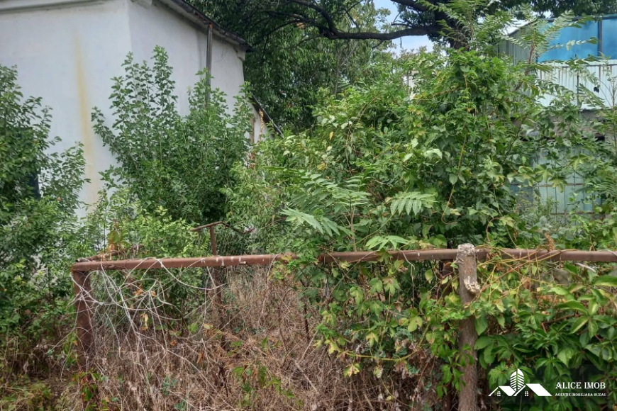 598567303_1555633945648278_3052449378871373618_n