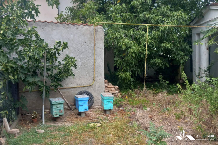 598659127_1555634075648265_186549584266654369_n