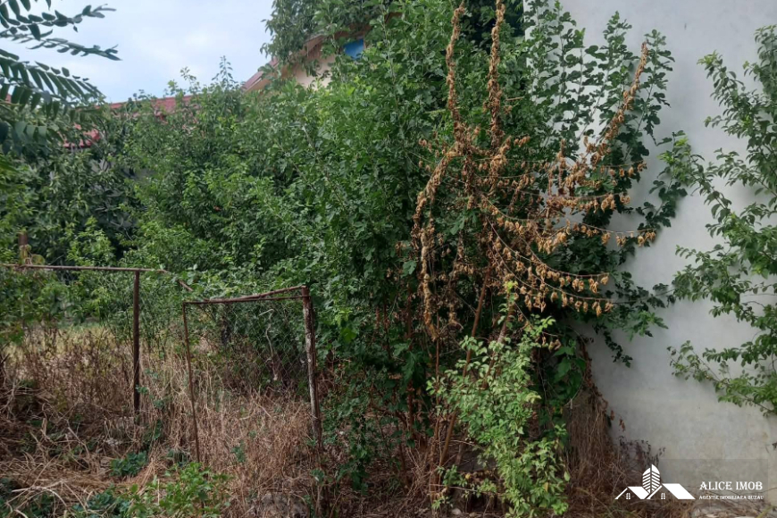 598669008_1555633882314951_8487094047533983302_n