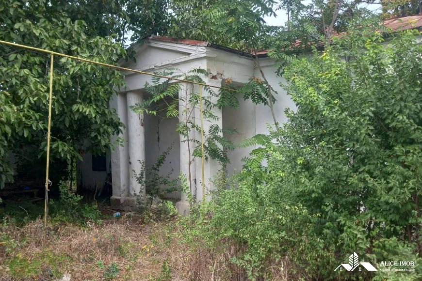 598918897_1555633822314957_4765288505726986233_n