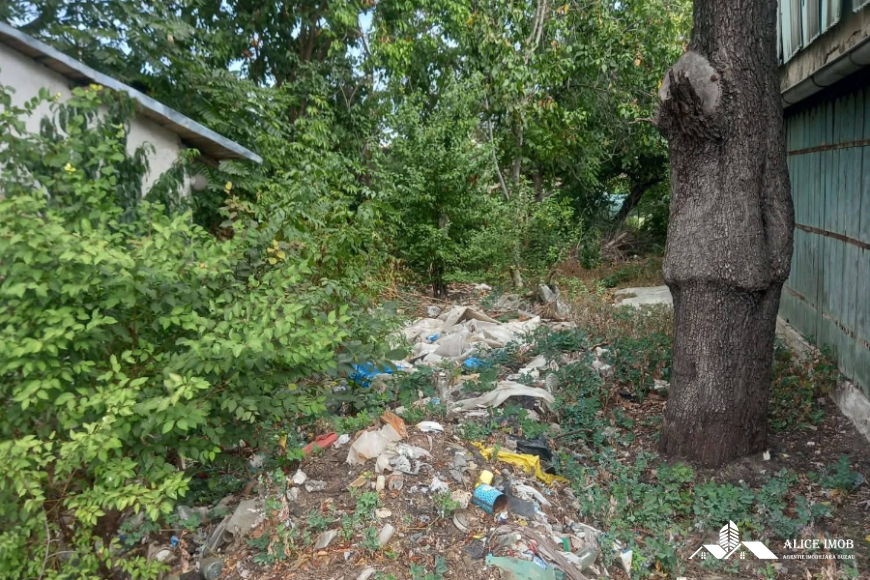 599829768_1555634035648269_2674567377983376862_n