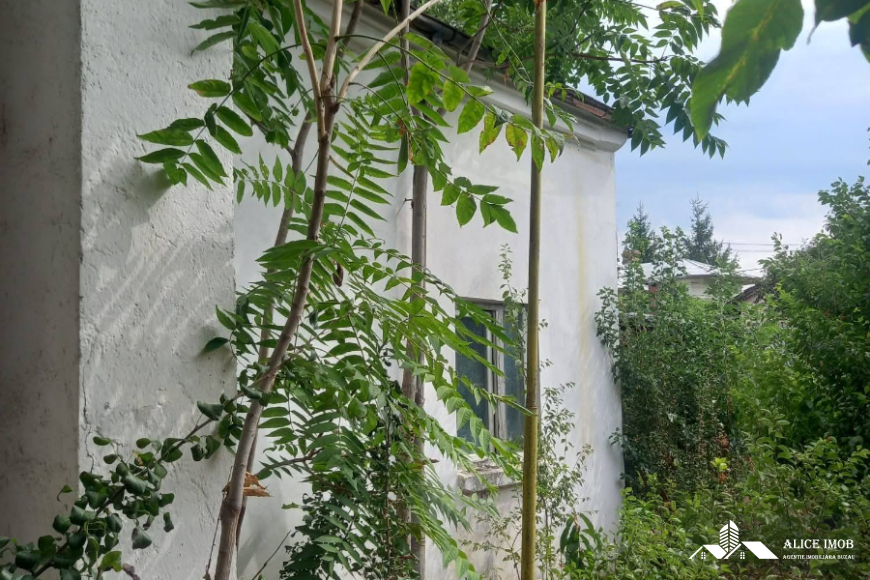 599924601_1555634135648259_8795483804973143593_n