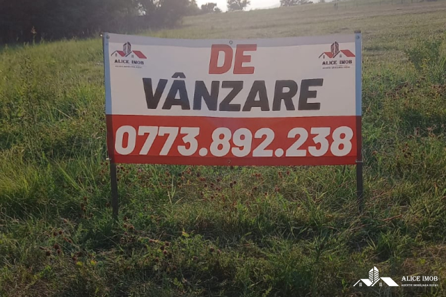 Imagine WhatsApp 2025-08-12 la 19.09.38_e1d754ae