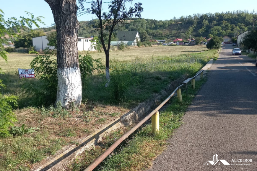 Imagine WhatsApp 2025-08-13 la 10.54.56_abe94815