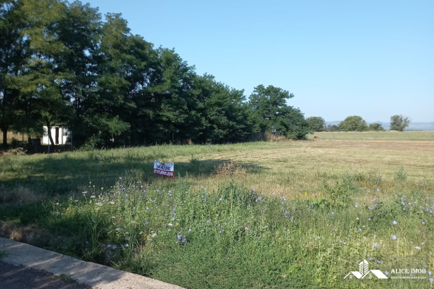 Imagine WhatsApp 2025-08-13 la 10.54.56_ac57fe72