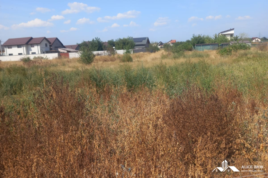 545118031_1476634096881597_2862662253492171021_n