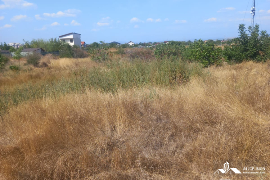 545406213_1476634050214935_5124573202910750069_n