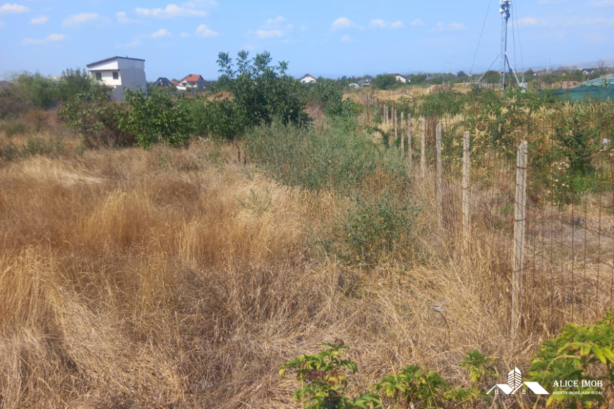 545625989_1476634046881602_4134726660576153959_n