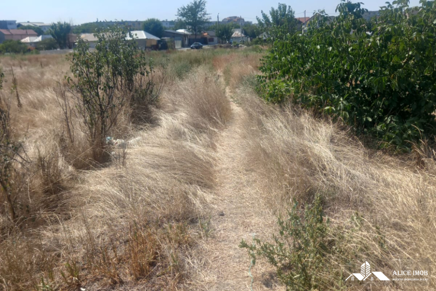 545833528_1476634043548269_1178382743880204660_n