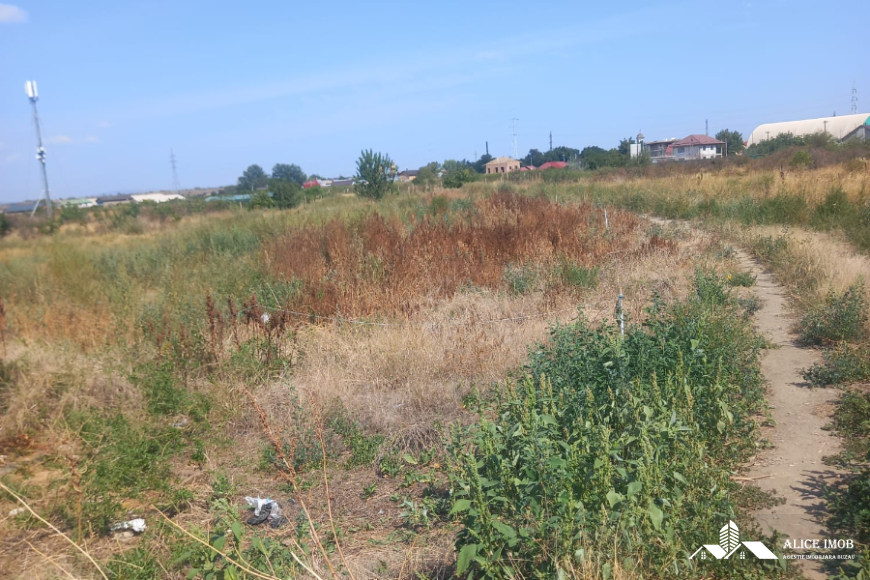 546169159_1476634123548261_5614111156454543234_n