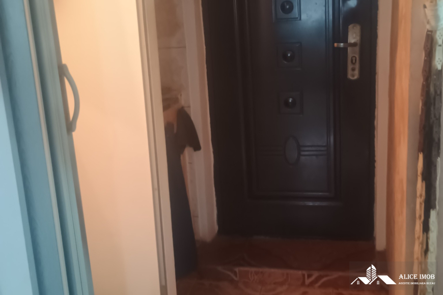 556860597_1496795418198798_6041026063537299777_n