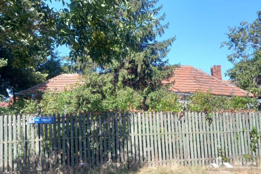 542674999_1472732080605132_7387652935535965074_n