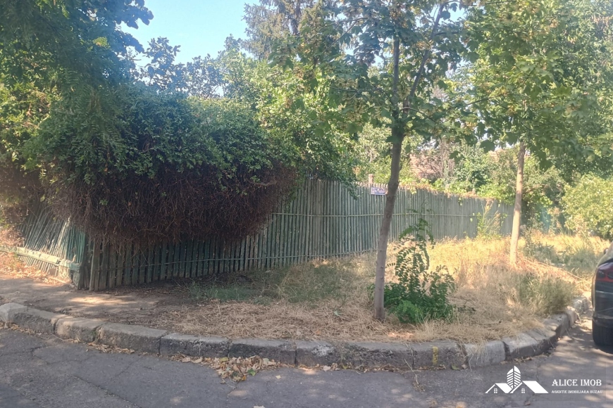 542754048_1472731950605145_5478001812071966728_n