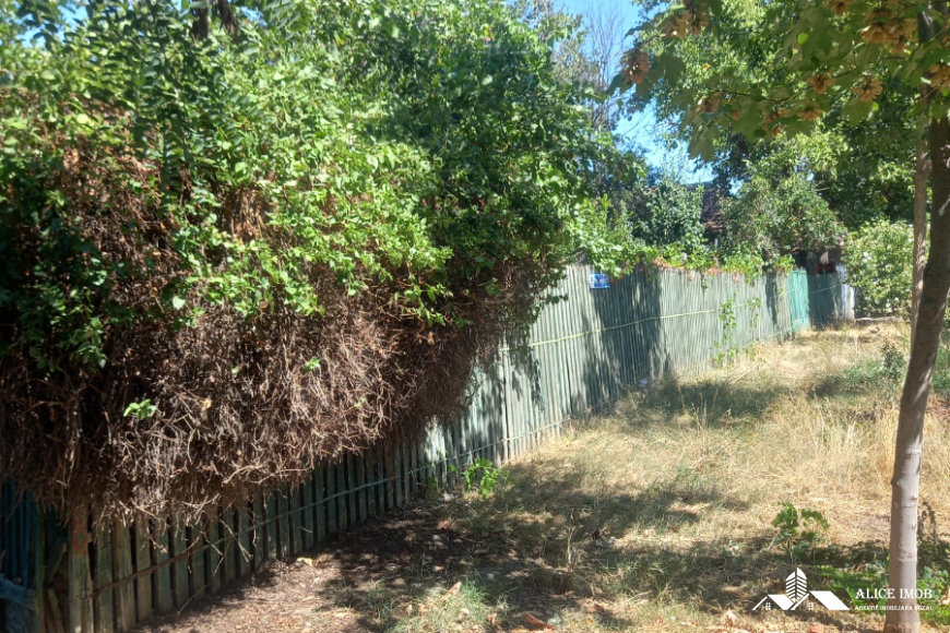 542756988_1472731763938497_7217459625388335343_n