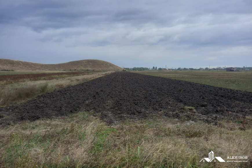 558869639_1502385884306418_5854279703097687551_n